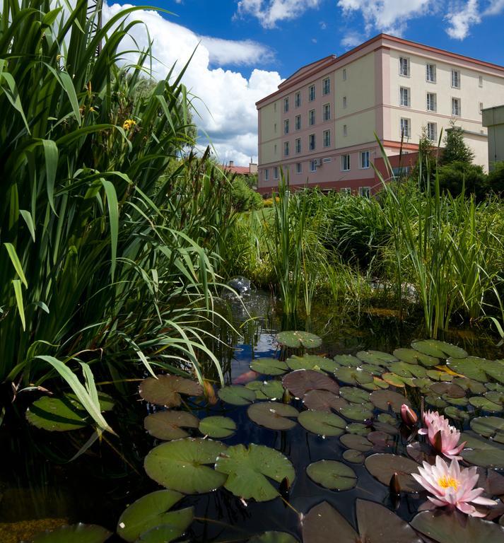 Hotel Francis Palace